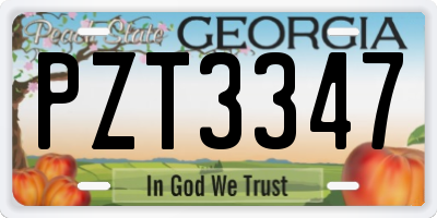 GA license plate PZT3347
