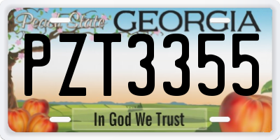 GA license plate PZT3355