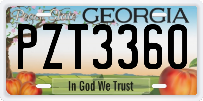 GA license plate PZT3360