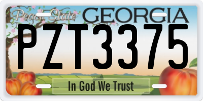 GA license plate PZT3375