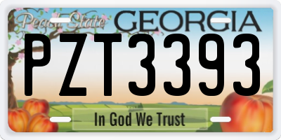 GA license plate PZT3393