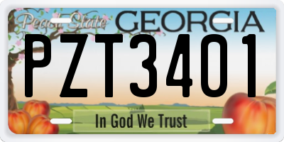 GA license plate PZT3401