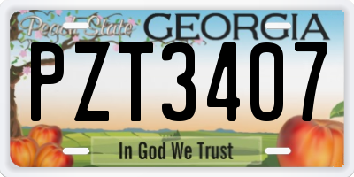 GA license plate PZT3407