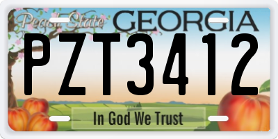 GA license plate PZT3412