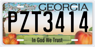 GA license plate PZT3414