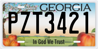 GA license plate PZT3421