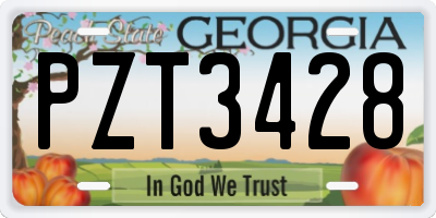 GA license plate PZT3428