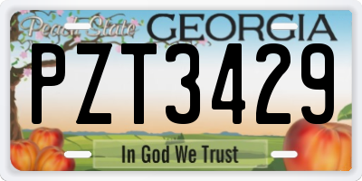 GA license plate PZT3429