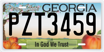 GA license plate PZT3459