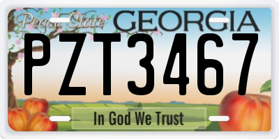 GA license plate PZT3467