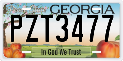 GA license plate PZT3477