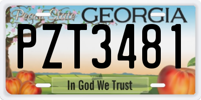 GA license plate PZT3481