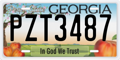 GA license plate PZT3487