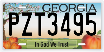 GA license plate PZT3495