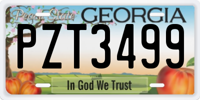 GA license plate PZT3499