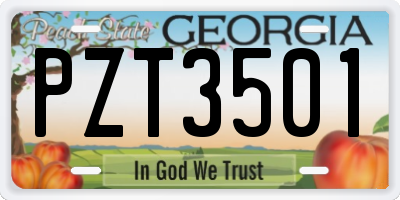 GA license plate PZT3501