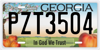 GA license plate PZT3504