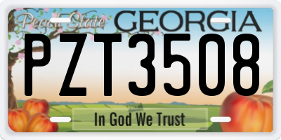 GA license plate PZT3508