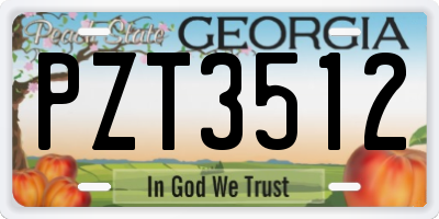 GA license plate PZT3512