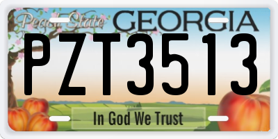 GA license plate PZT3513