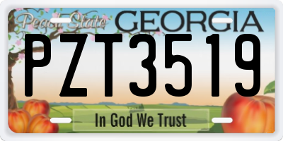 GA license plate PZT3519