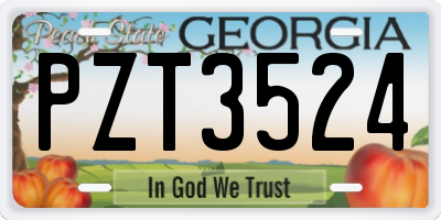 GA license plate PZT3524