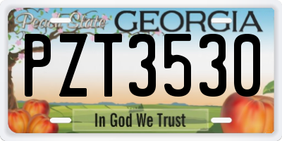 GA license plate PZT3530