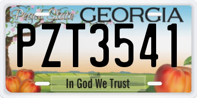 GA license plate PZT3541
