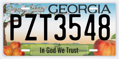 GA license plate PZT3548