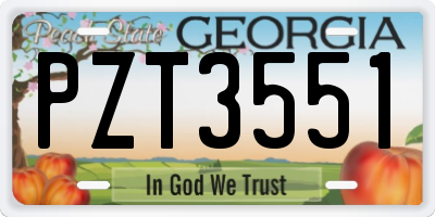 GA license plate PZT3551