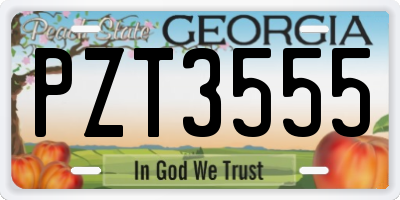 GA license plate PZT3555