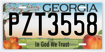 GA license plate PZT3558