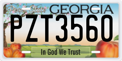 GA license plate PZT3560