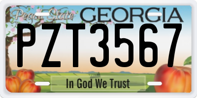 GA license plate PZT3567