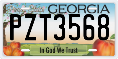 GA license plate PZT3568