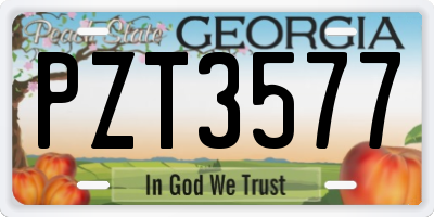 GA license plate PZT3577