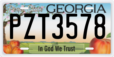 GA license plate PZT3578