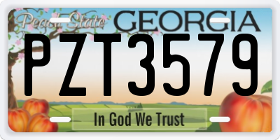 GA license plate PZT3579