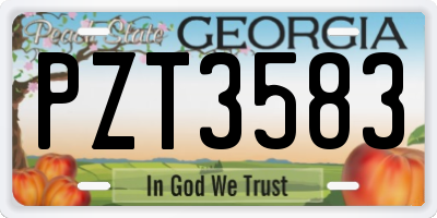 GA license plate PZT3583