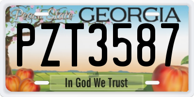 GA license plate PZT3587