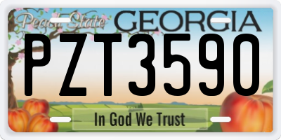 GA license plate PZT3590
