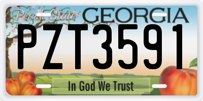 GA license plate PZT3591