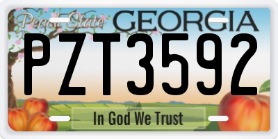 GA license plate PZT3592