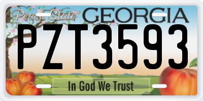 GA license plate PZT3593