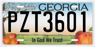 GA license plate PZT3601