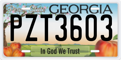 GA license plate PZT3603