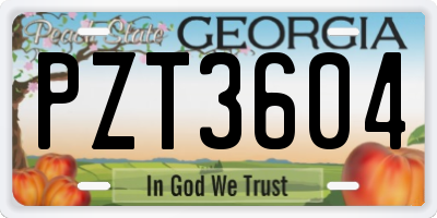 GA license plate PZT3604