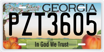 GA license plate PZT3605