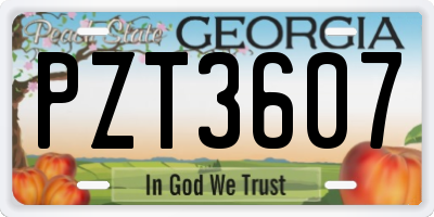 GA license plate PZT3607