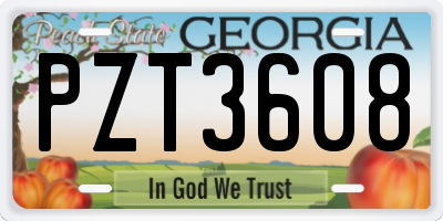 GA license plate PZT3608